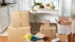 Packers and Movers Bodhan
